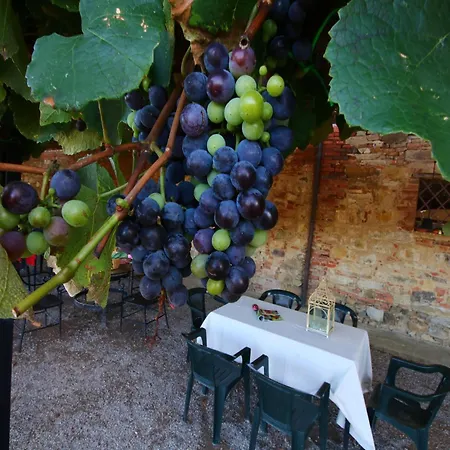 Holiday home With Swimming Pool, Private Terrace Overlooking Pool Castiglione del Lago